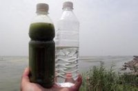 安徽巢湖水样(左)与饮用水对比 安徽巢湖水样(左)与饮用水对比